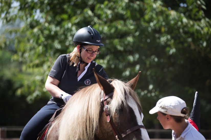 Seminar: Pädagogik und Therapie mit Pferden